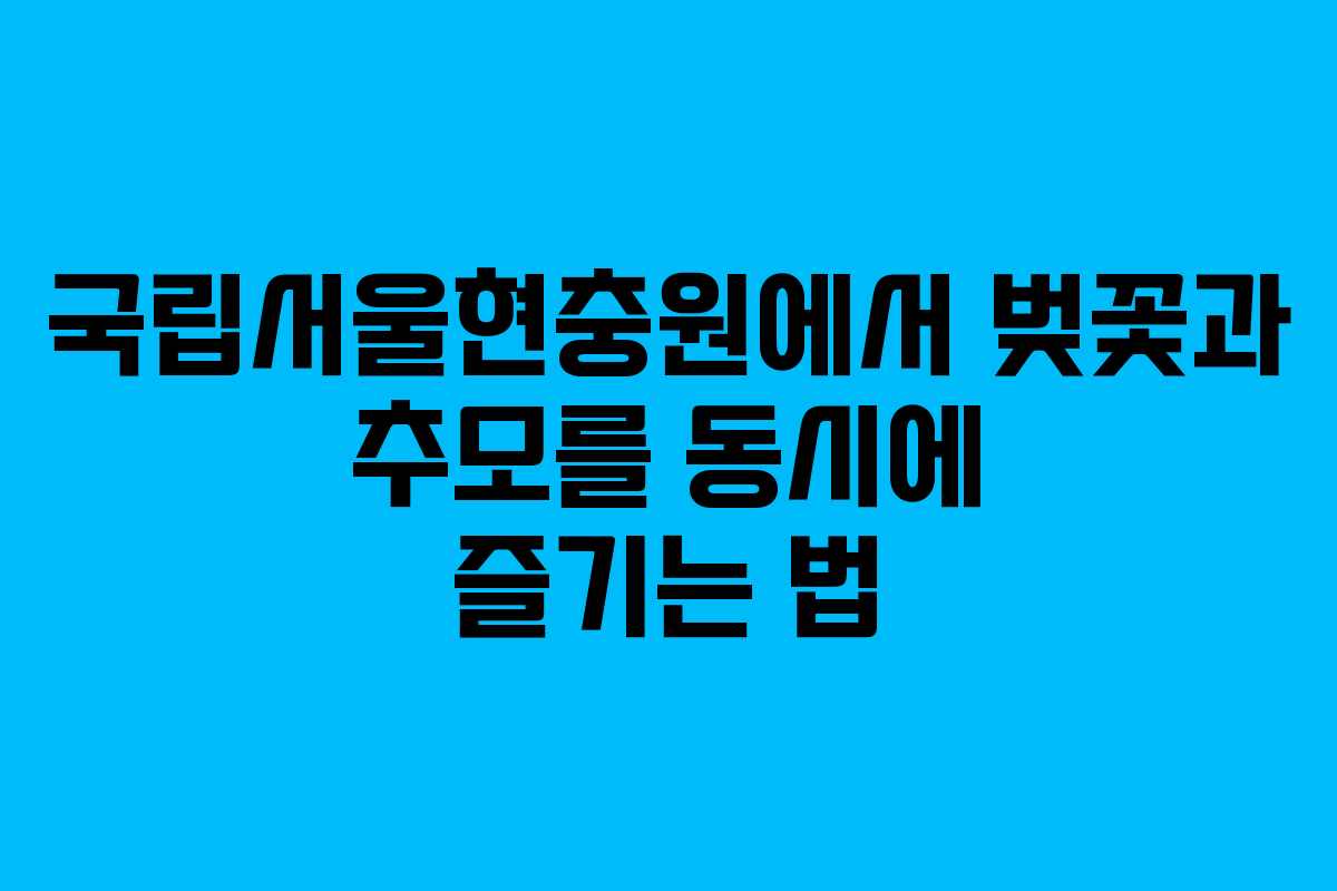 국립서울현충원에서 벚꽃과 추모를 동시에 즐기는 법