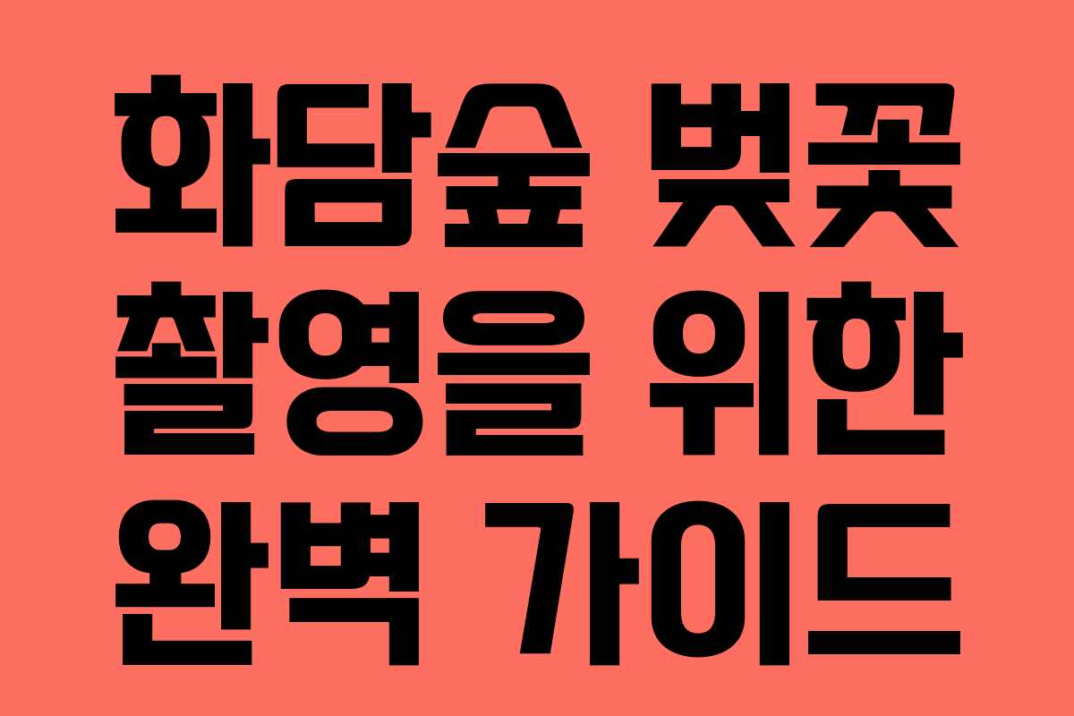 화담숲 벚꽃 촬영을 위한 완벽 가이드