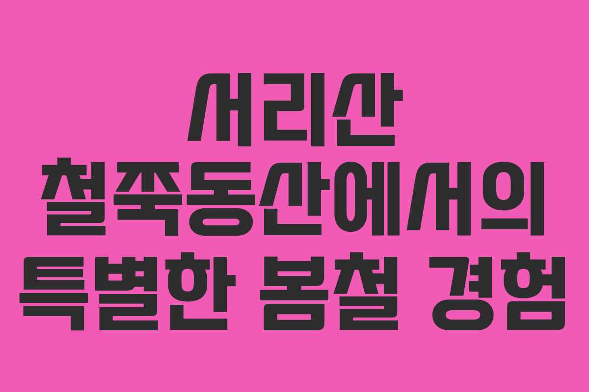 서리산 철쭉동산에서의 특별한 봄철 경험