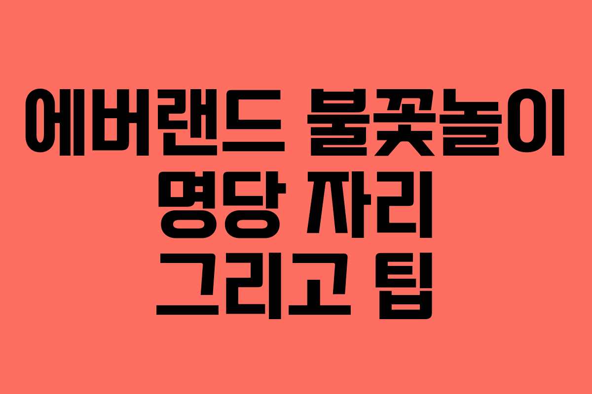 에버랜드 불꽃놀이 명당 자리 그리고 팁 에버랜드 불꽃놀이 명당 자리 그리고 팁