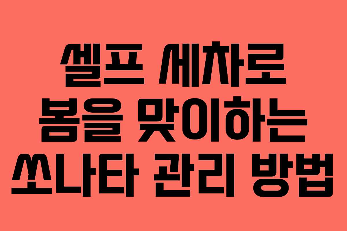 셀프 세차로 봄을 맞이하는 쏘나타 관리 방법
