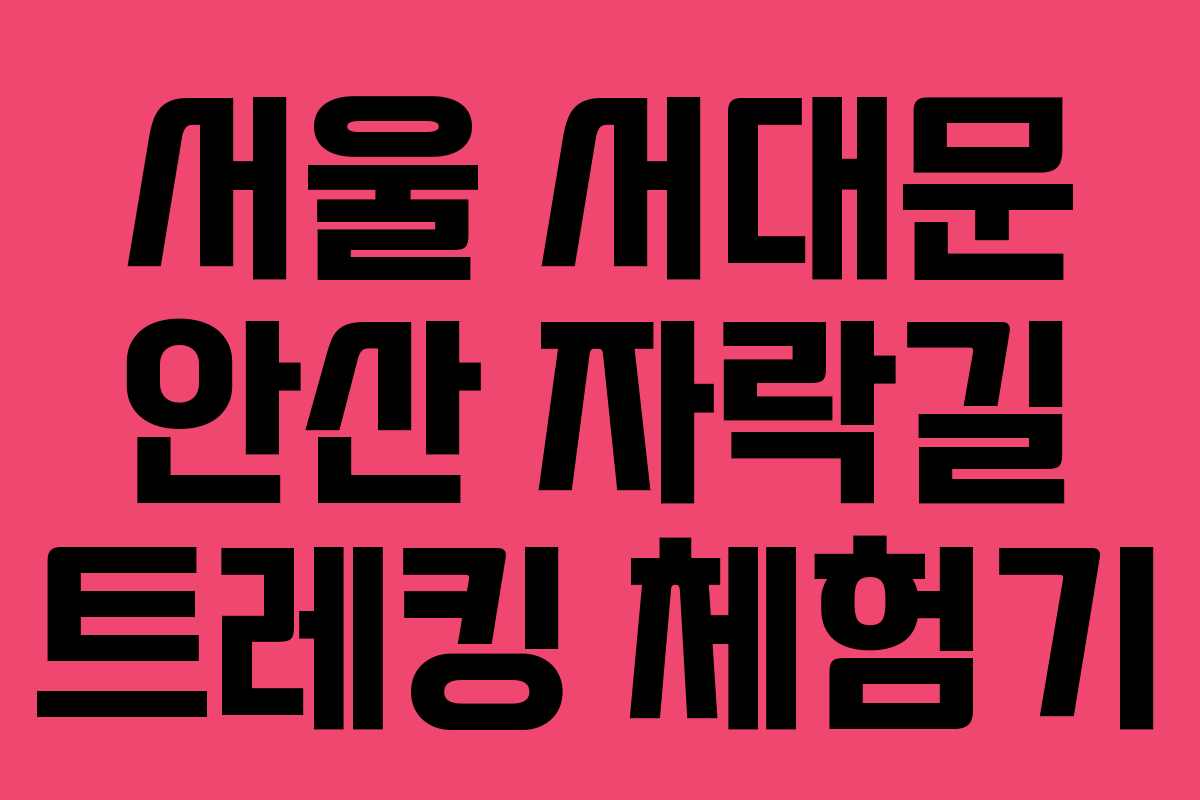 서울 서대문 안산 자락길 트레킹 체험기