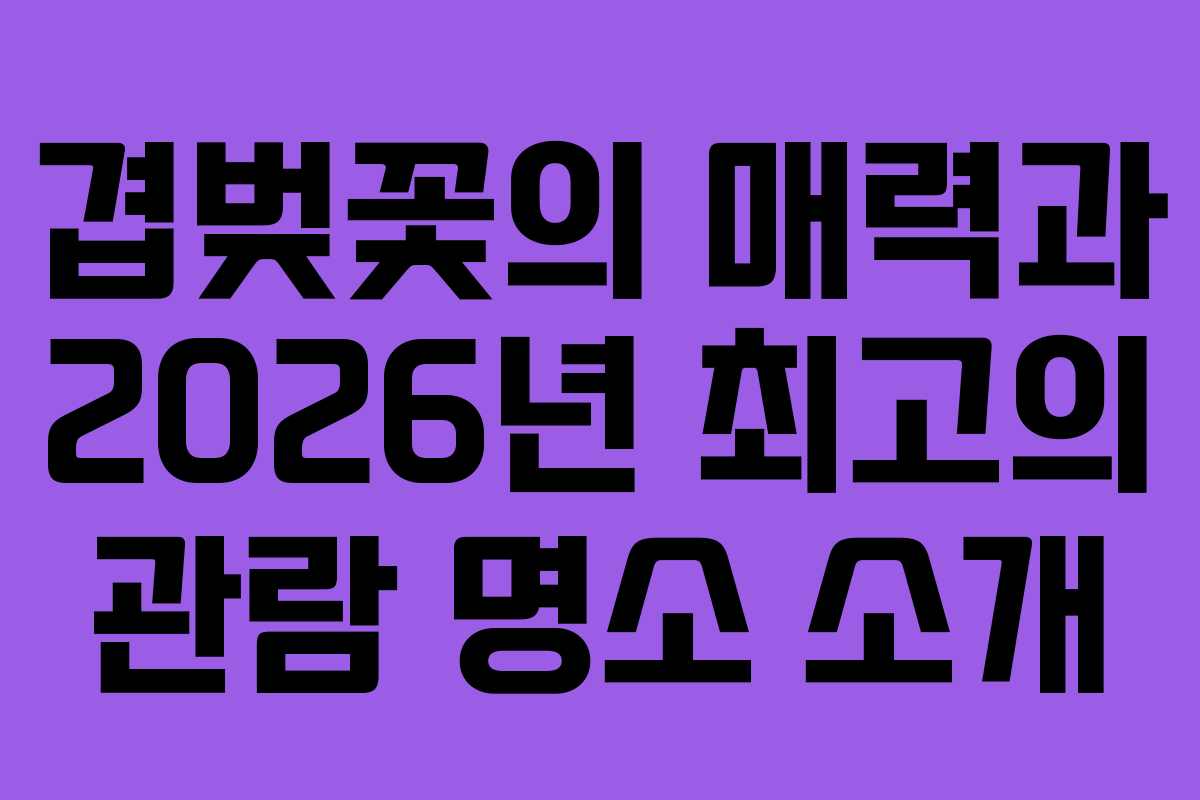 겹벚꽃의 매력과 2026년 최고의 관람 명소 소개