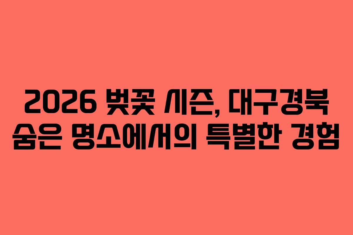 2026 벚꽃 시즌, 대구경북 숨은 명소에서의 특별한 경험