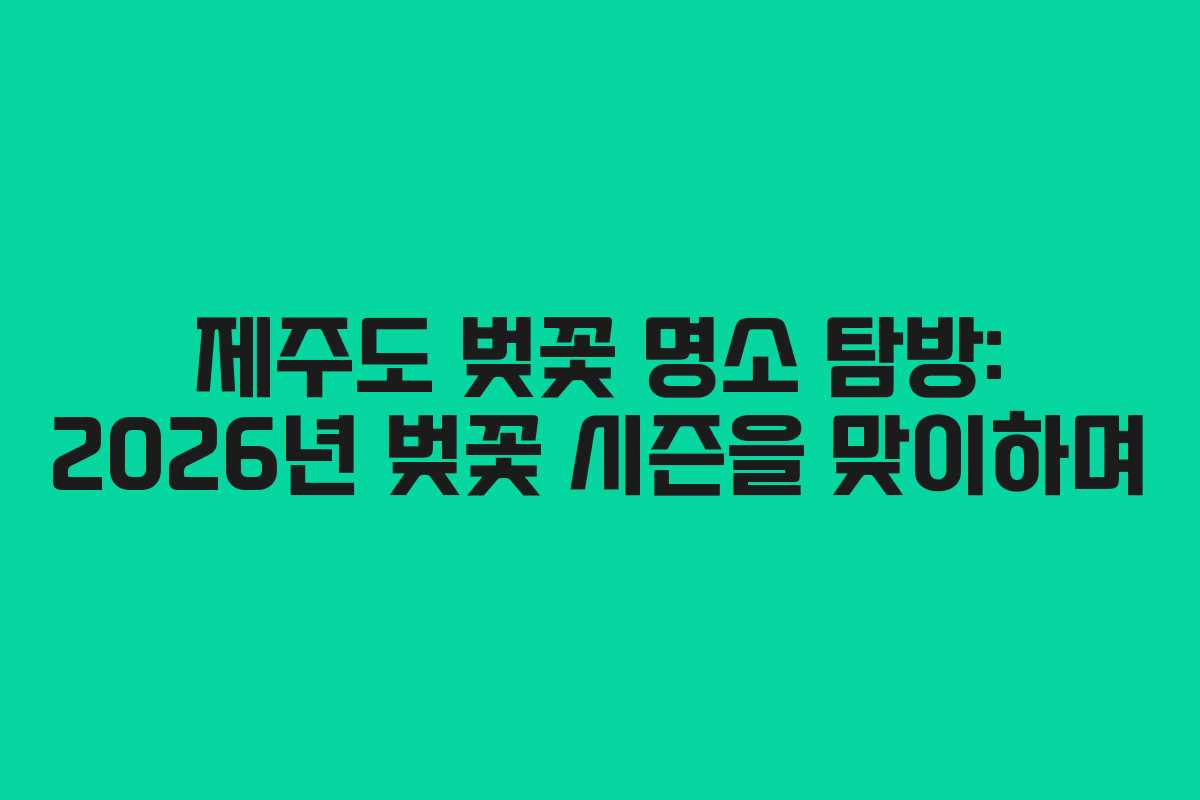 제주도 벚꽃 명소 탐방: 2026년 벚꽃 시즌을 맞이하며