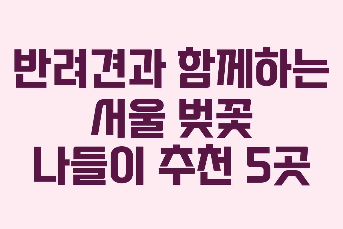 반려견과 함께하는 서울 벚꽃 나들이 추천 5곳