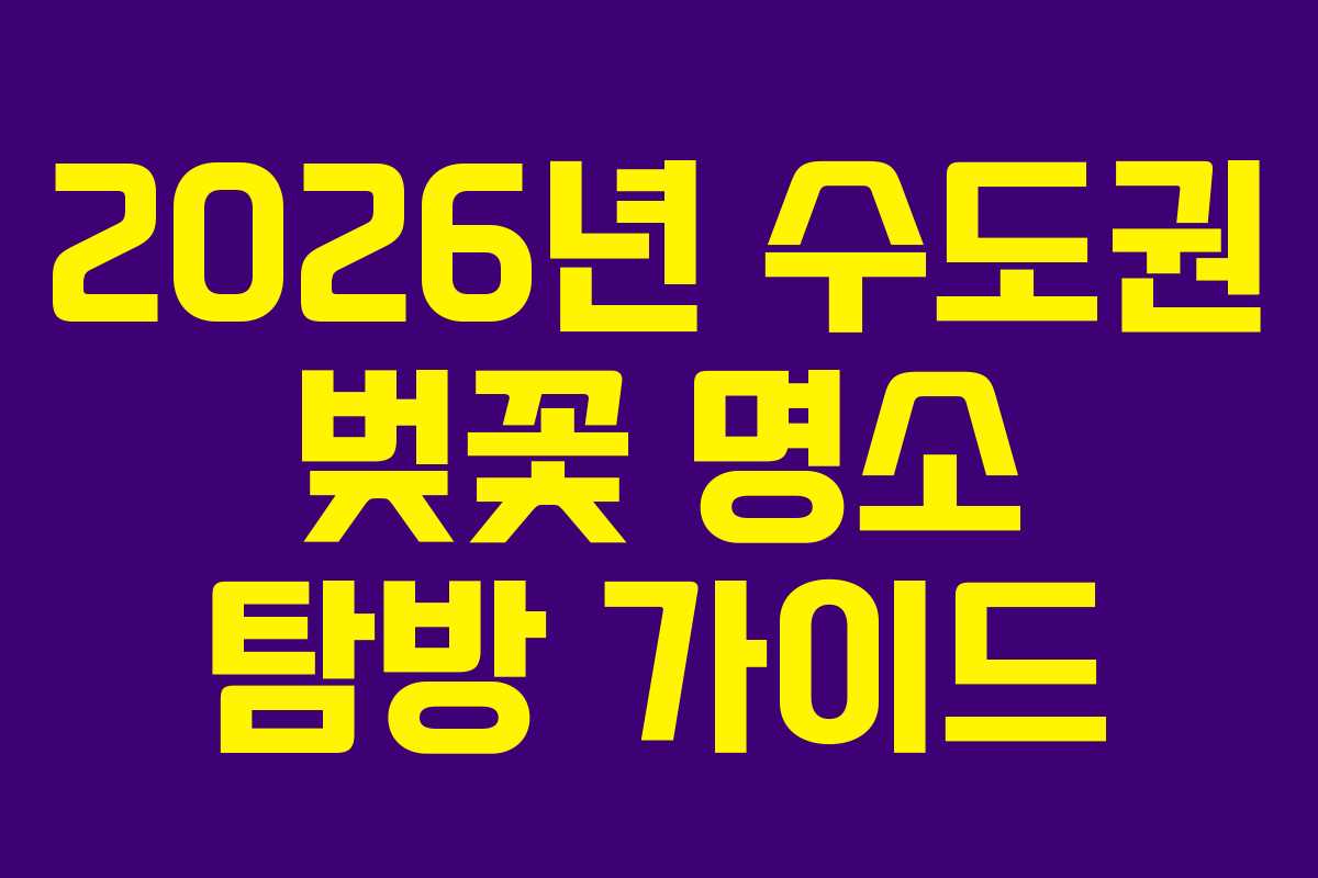 2026년 수도권 벚꽃 명소 탐방 가이드