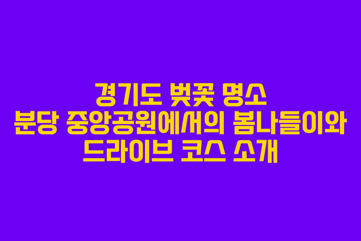 경기도 벚꽃 명소 분당 중앙공원에서의 봄나들이와 드라이브 코스 소개