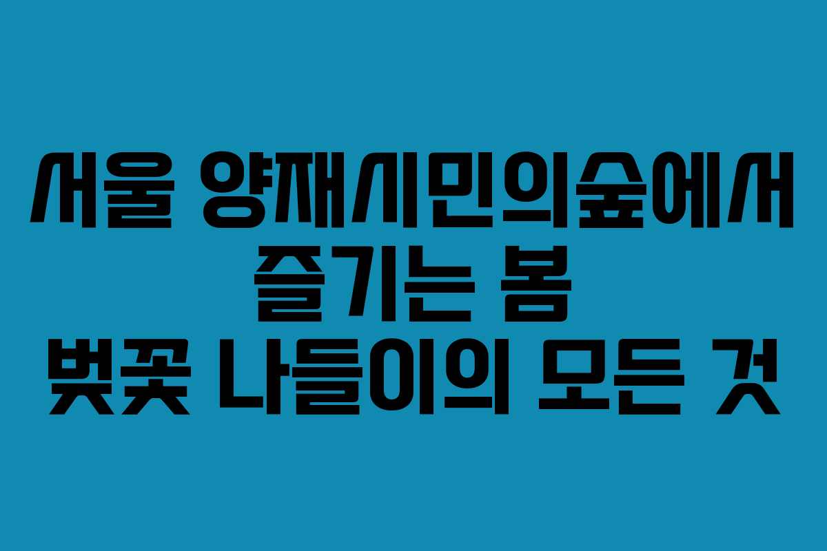 서울 양재시민의숲에서 즐기는 봄 벚꽃 나들이의 모든 것
