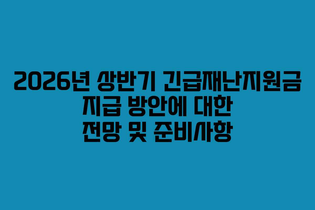 2026년 상반기 긴급재난지원금 지급 방안에 대한 전망 및 준비사항