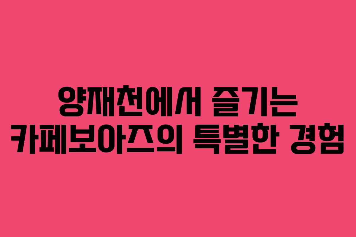 양재천에서 즐기는 카페보아즈의 특별한 경험