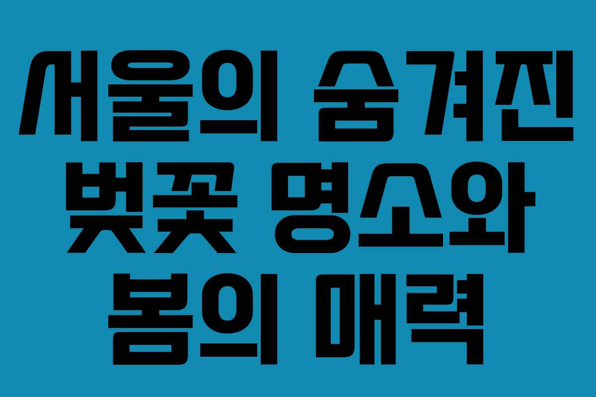 서울의 숨겨진 벚꽃 명소와 봄의 매력