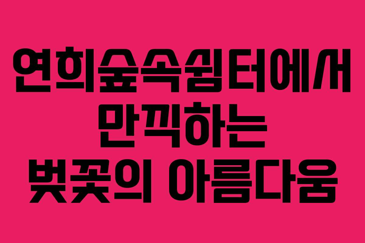 연희숲속쉼터에서 만끽하는 벚꽃의 아름다움