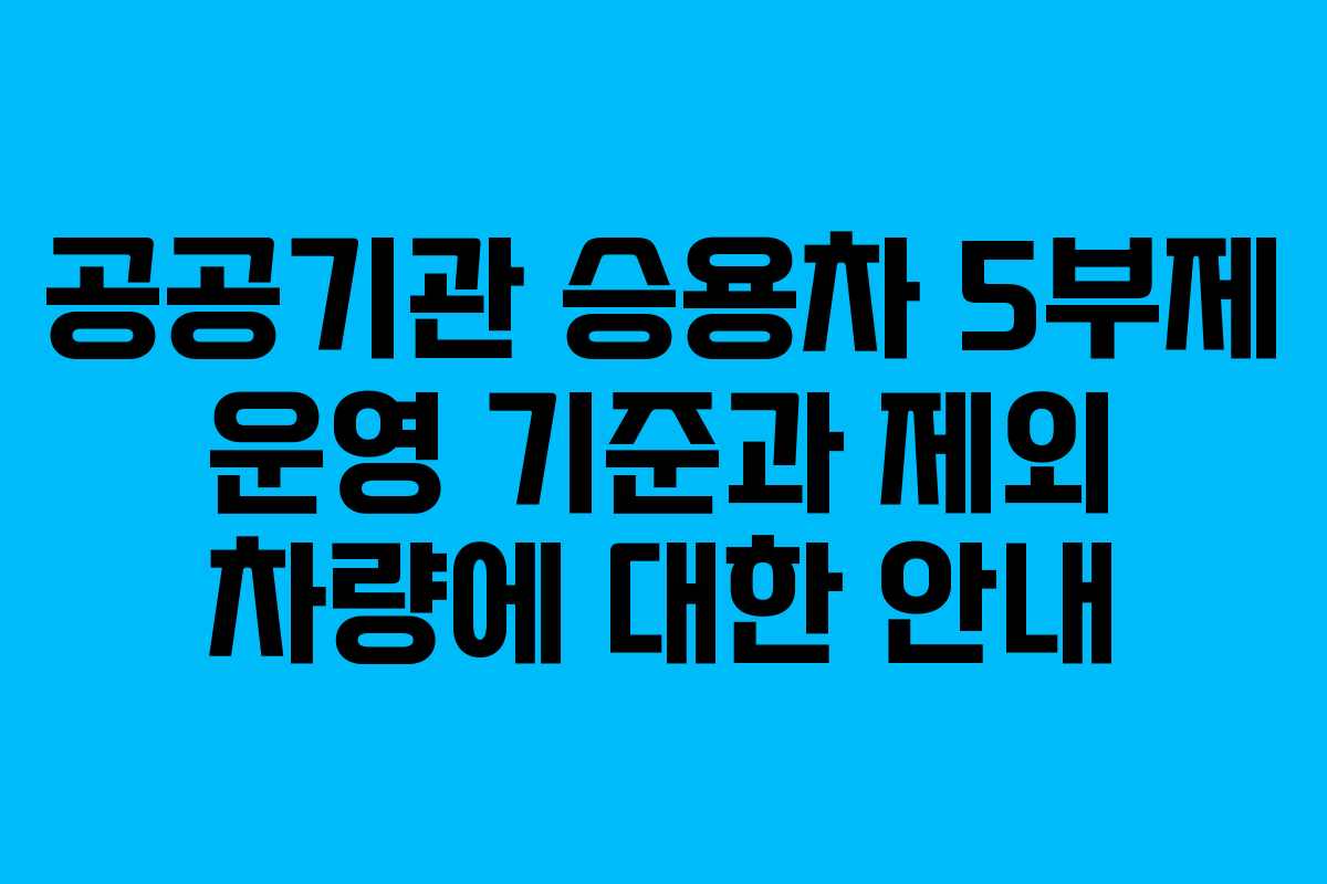 공공기관 승용차 5부제 운영 기준과 제외 차량에 대한 안내