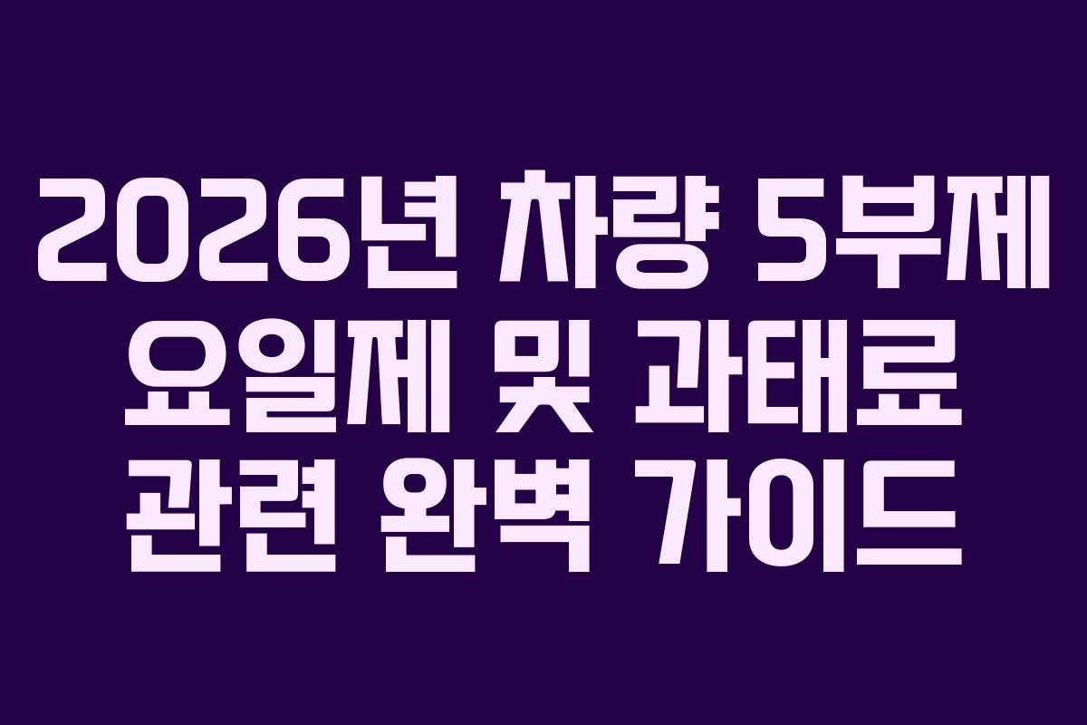 2026년 차량 5부제 요일제 및 과태료 관련 완벽 가이드