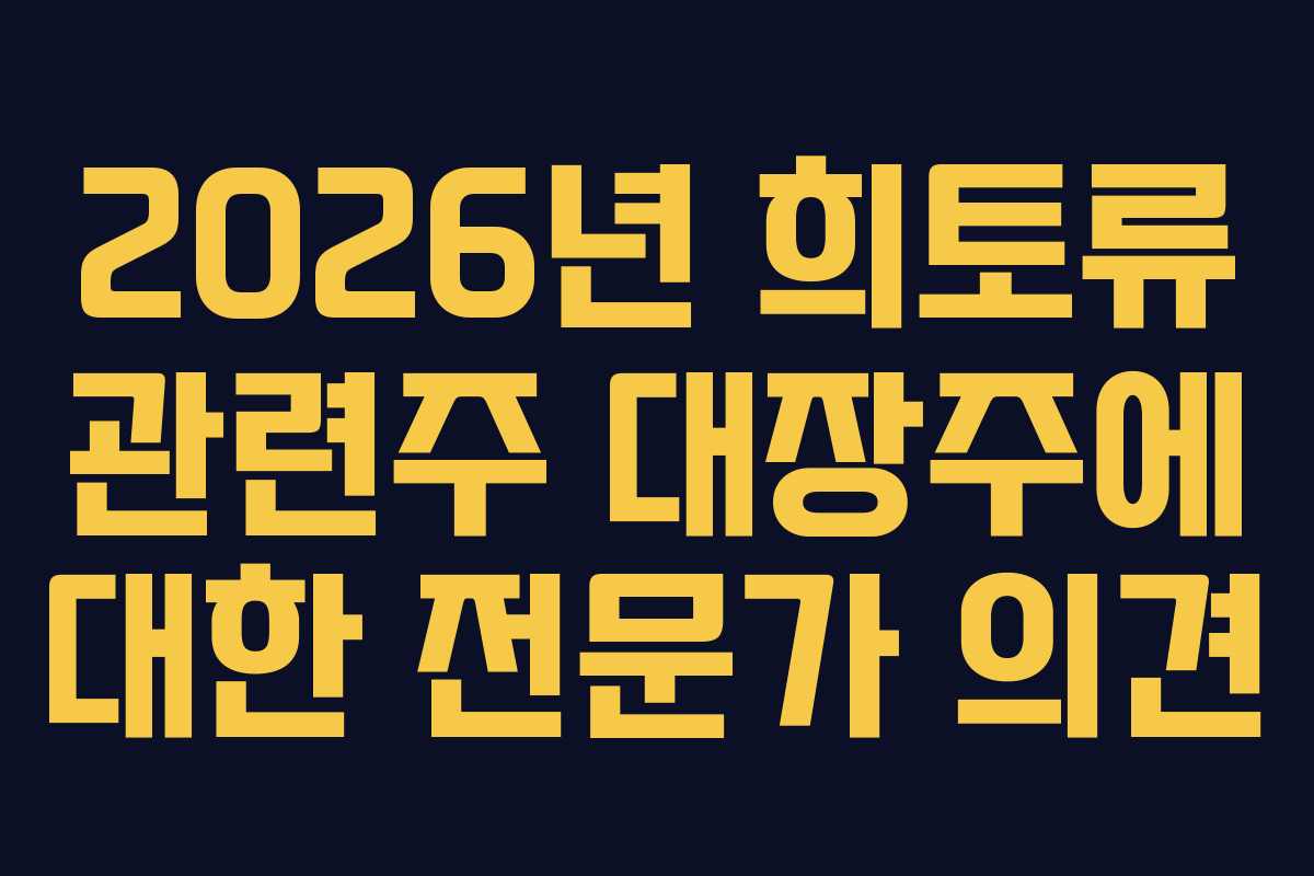 2026년 희토류 관련주 대장주에 대한 전문가 의견