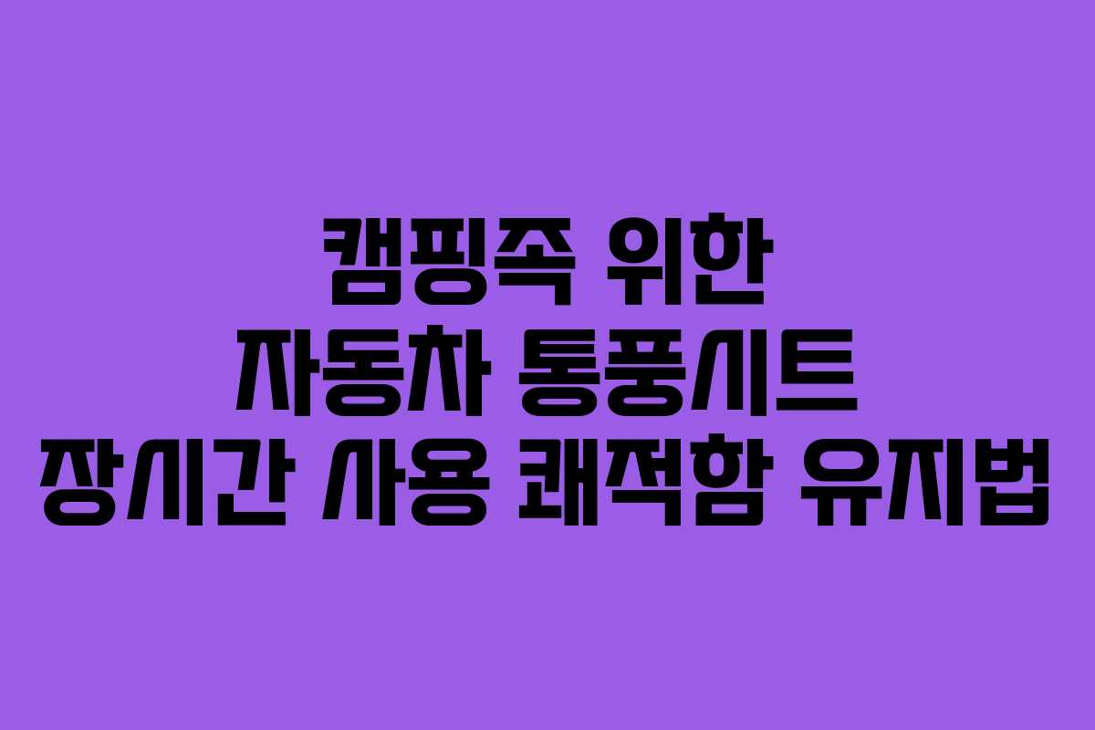 캠핑족 위한 자동차 통풍시트 장시간 사용 쾌적함 유지법
