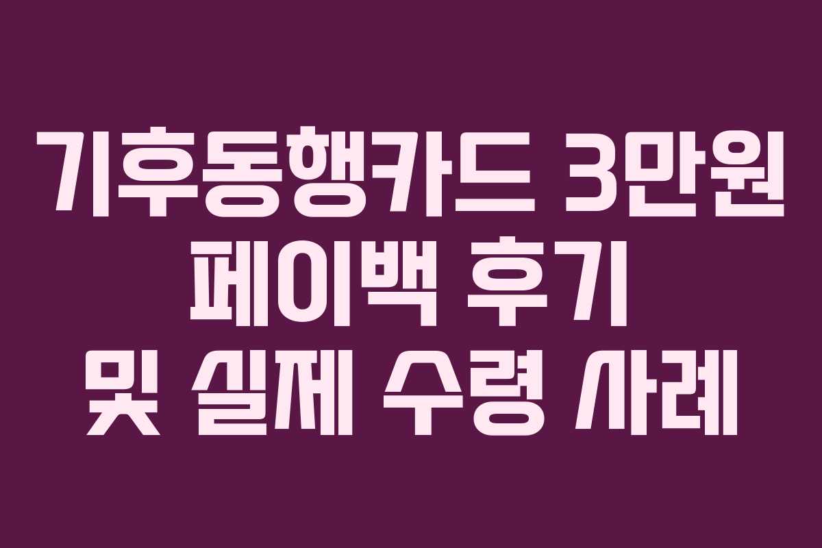 기후동행카드 3만원 페이백 후기 및 실제 수령 사례