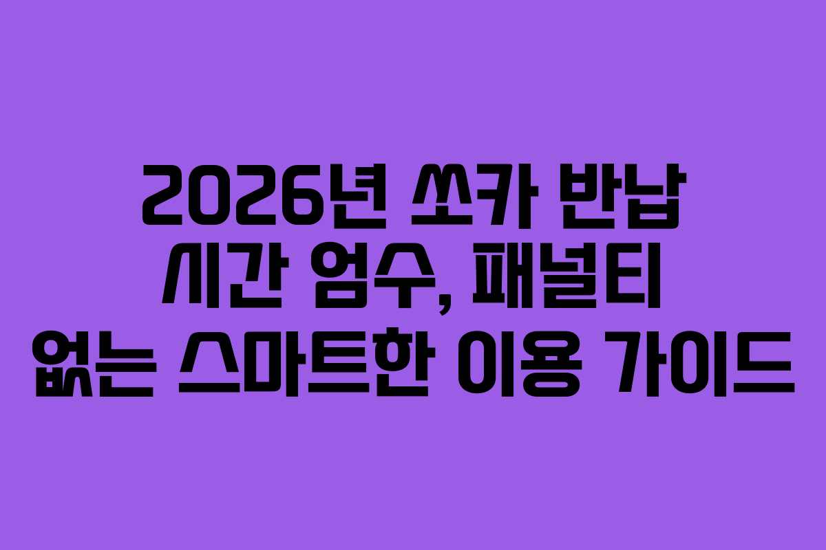 2026년 쏘카 반납 시간 엄수, 패널티 없는 스마트한 이용 가이드