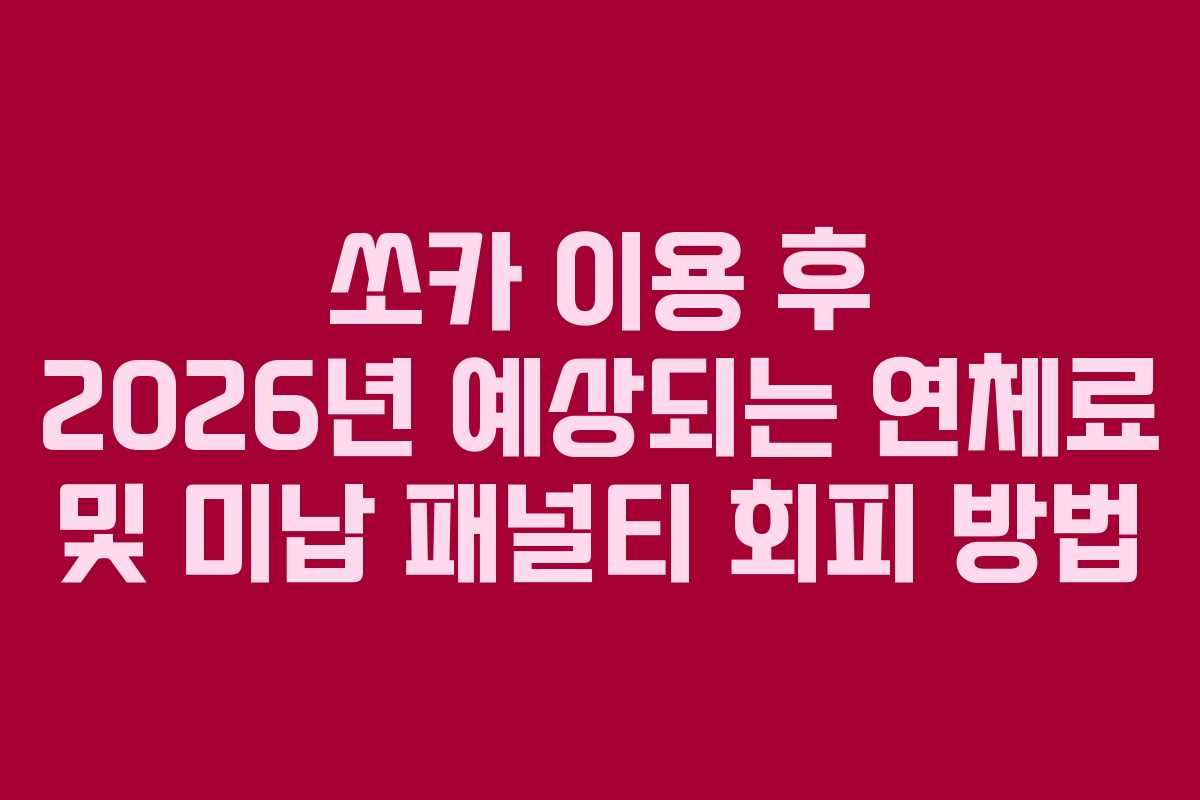 쏘카 이용 후 2026년 예상되는 연체료 및 미납 패널티 회피 방법