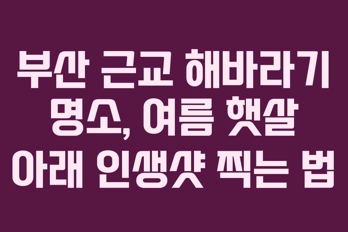 부산 근교 해바라기 명소, 여름 햇살 아래 인생샷 찍는 법