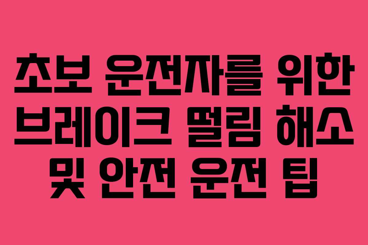 초보 운전자를 위한 브레이크 떨림 해소 및 안전 운전 팁