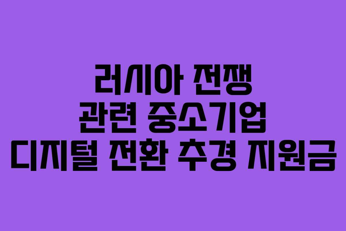 러시아 전쟁 관련 중소기업 디지털 전환 추경 지원금