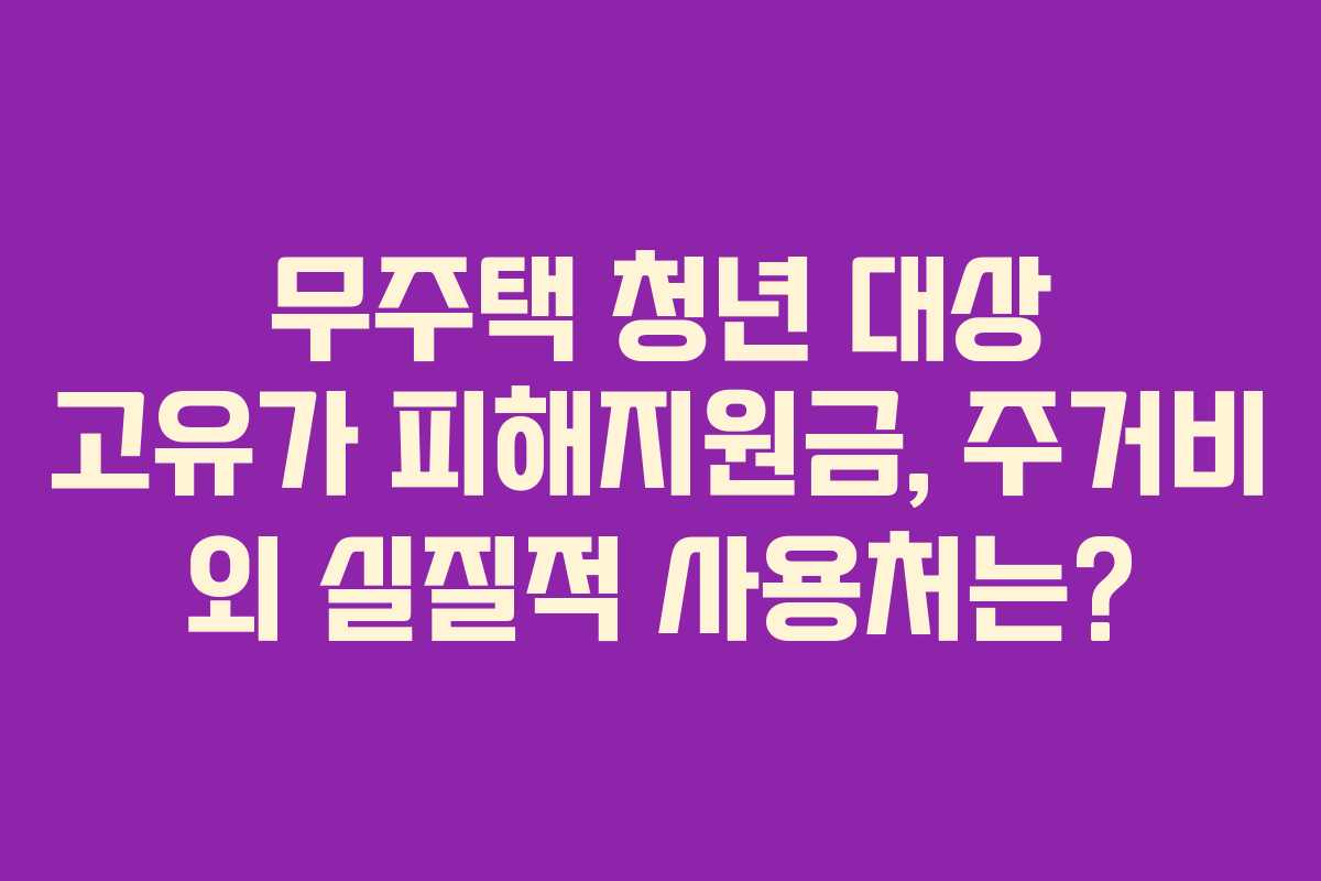 무주택 청년 대상 고유가 피해지원금, 주거비 외 실질적 사용처는?