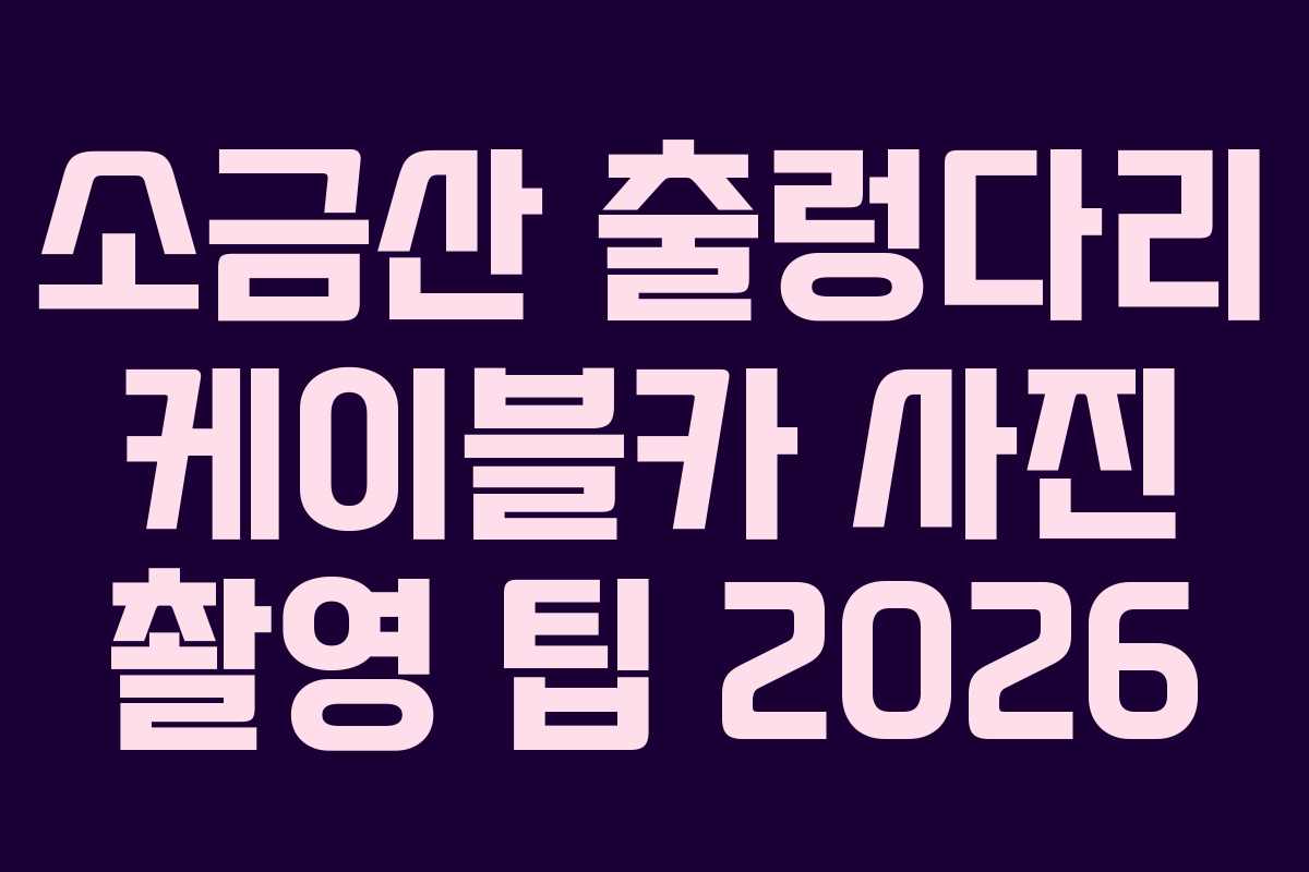 소금산 출렁다리 케이블카 사진 촬영 팁 2026