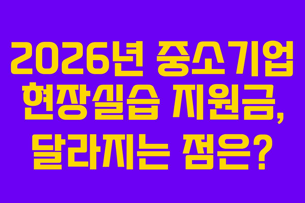 2026년 중소기업 현장실습 지원금, 달라지는 점은?