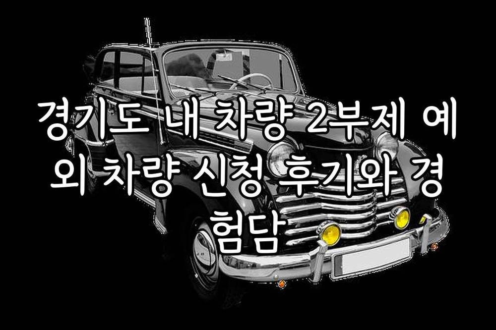 경기도 내 차량 2부제 예외 차량 신청 후기와 경험담