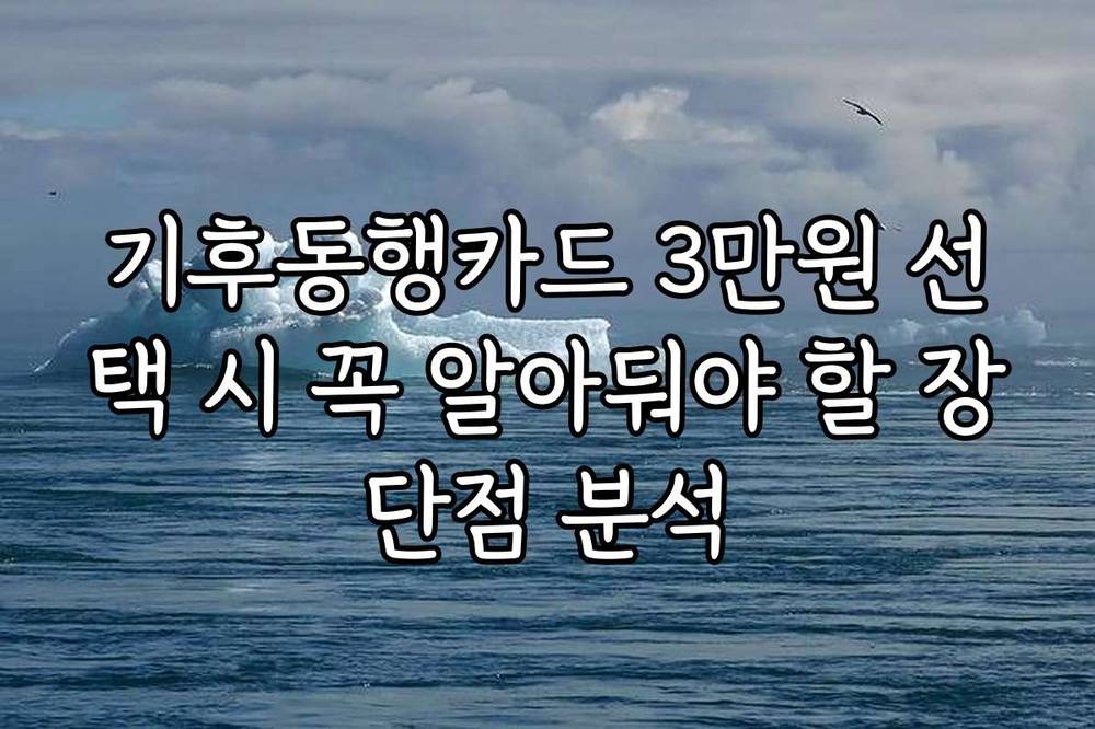 기후동행카드 3만원 선택 시 꼭 알아둬야 할 장단점 분석