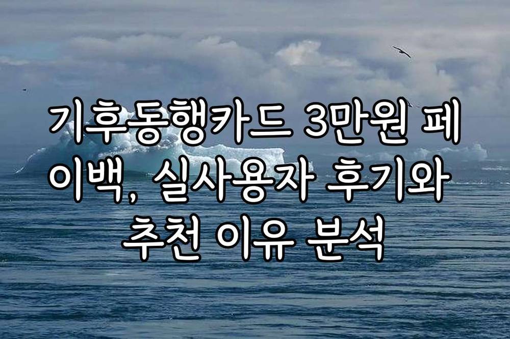 기후동행카드 3만원 페이백, 실사용자 후기와 추천 이유 분석