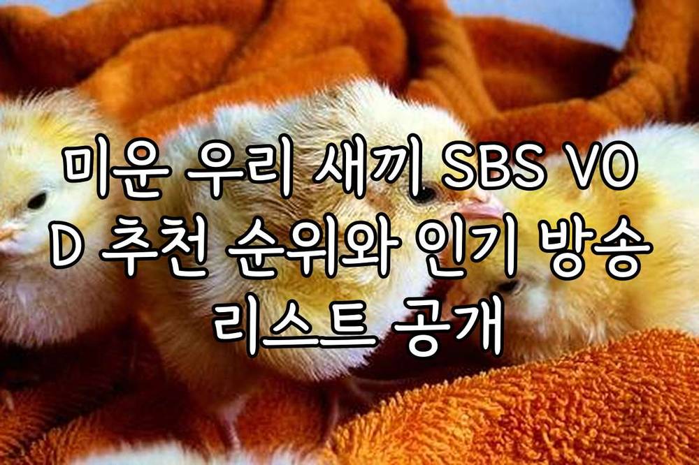 미운 우리 새끼 SBS VOD 추천 순위와 인기 방송 리스트 공개
