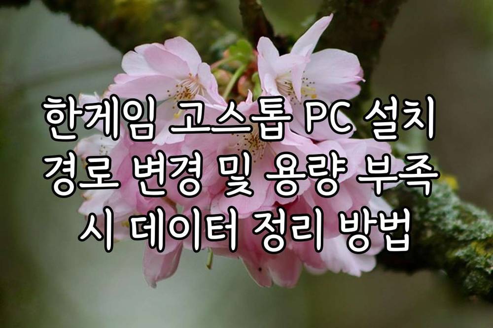 한게임 고스톱 PC 설치 경로 변경 및 용량 부족 시 데이터 정리 방법