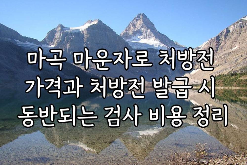 마곡 마운자로 처방전 가격과 처방전 발급 시 동반되는 검사 비용 정리