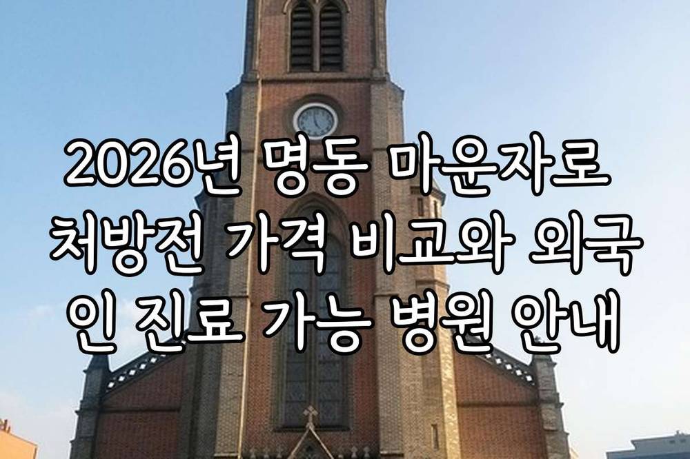 2026년 명동 마운자로 처방전 가격 비교와 외국인 진료 가능 병원 안내