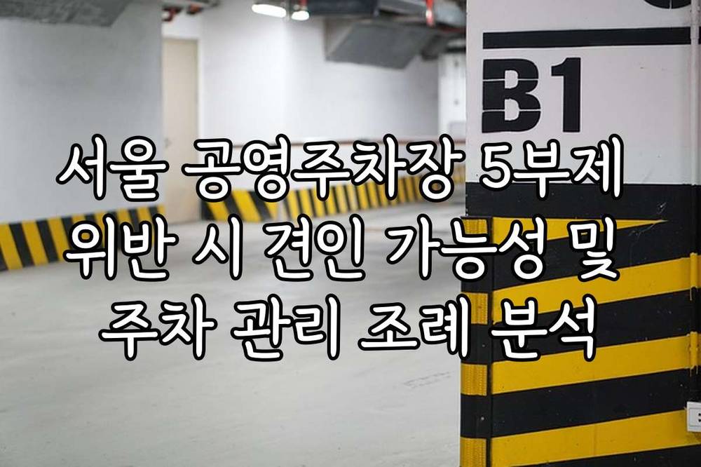 서울 공영주차장 5부제 위반 시 견인 가능성 및 주차 관리 조례 분석