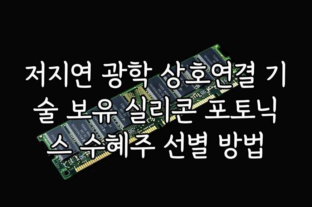 저지연 광학 상호연결 기술 보유 실리콘 포토닉스 수혜주 선별 방법