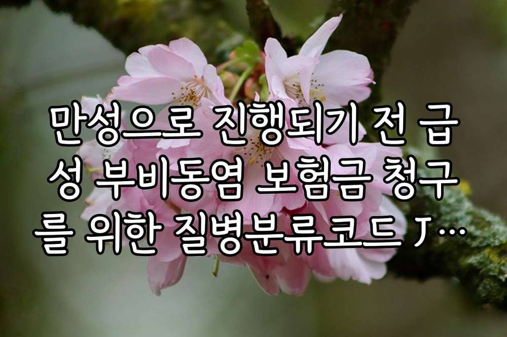 만성으로 진행되기 전 급성 부비동염 보험금 청구를 위한 질병분류코드 J01 확인법