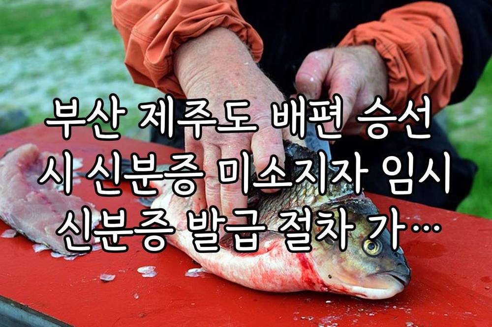 부산 제주도 배편 승선 시 신분증 미소지자 임시 신분증 발급 절차 가이드