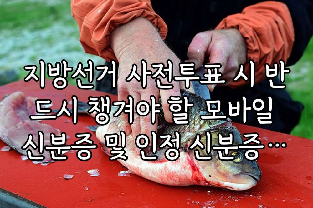 지방선거 사전투표 시 반드시 챙겨야 할 모바일 신분증 및 인정 신분증 종류