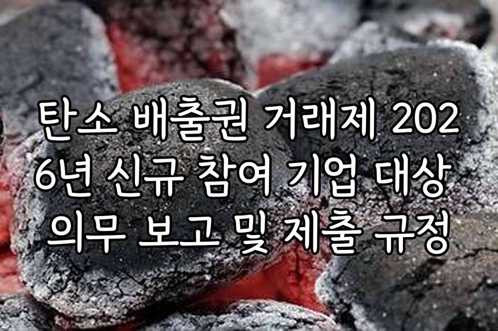 탄소 배출권 거래제 2026년 신규 참여 기업 대상 의무 보고 및 제출 규정