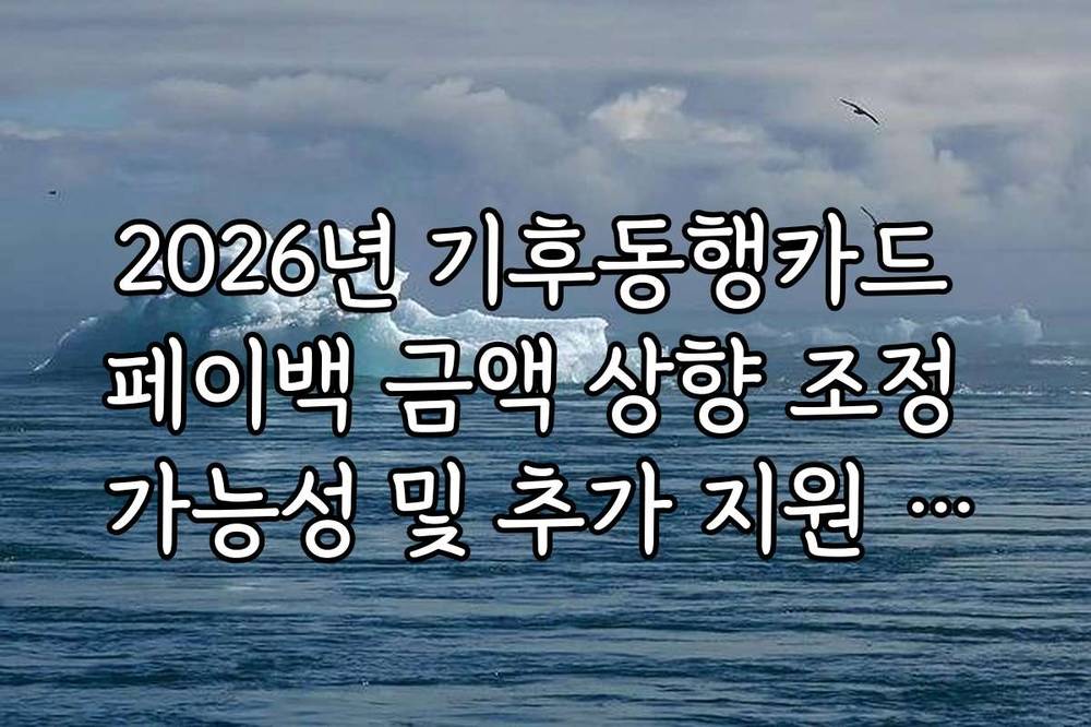2026년 기후동행카드 페이백 금액 상향 조정 가능성 및 추가 지원 혜택