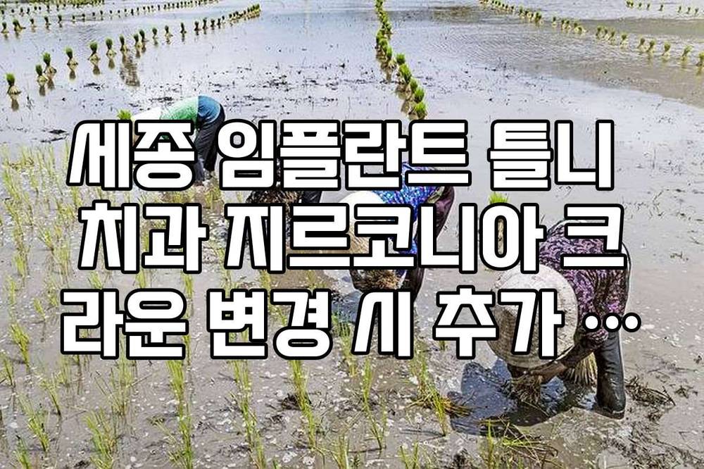 세종 임플란트 틀니 치과 지르코니아 크라운 변경 시 추가 비용 팩트 체크