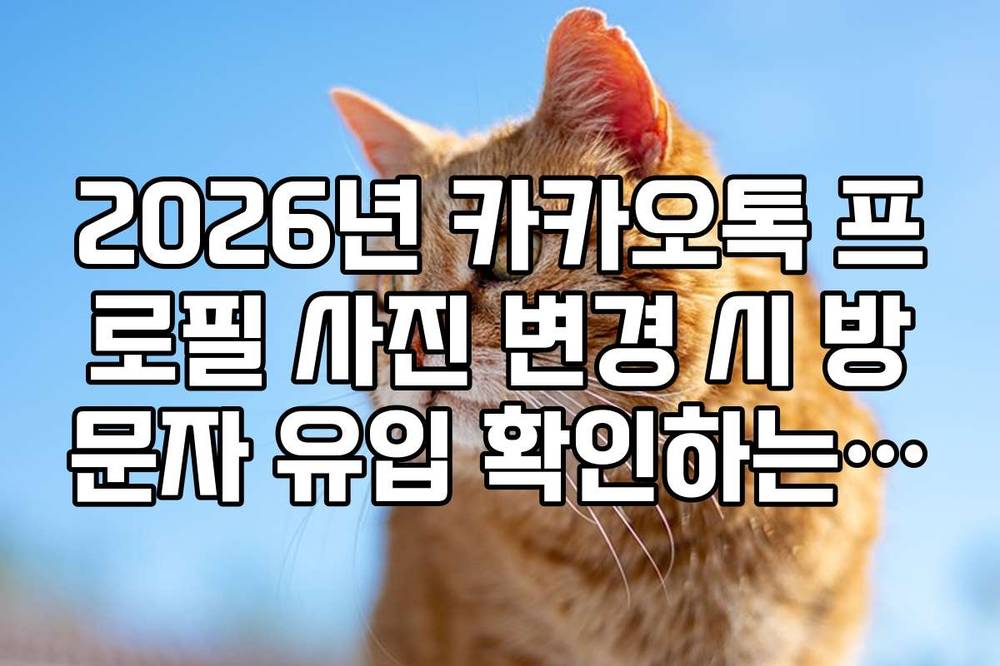 2026년 카카오톡 프로필 사진 변경 시 방문자 유입 확인하는 실질적 팁