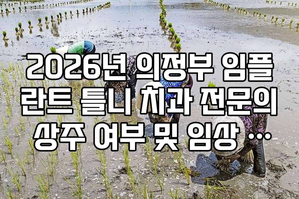 2026년 의정부 임플란트 틀니 치과 전문의 상주 여부 및 임상 경험 확인