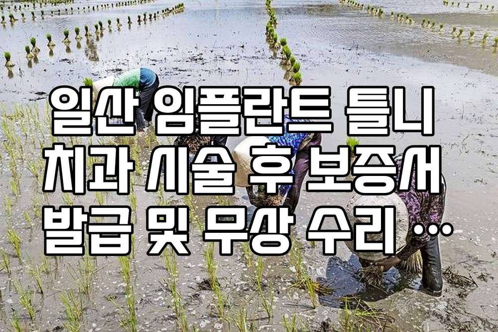 일산 임플란트 틀니 치과 시술 후 보증서 발급 및 무상 수리 기간 가이드