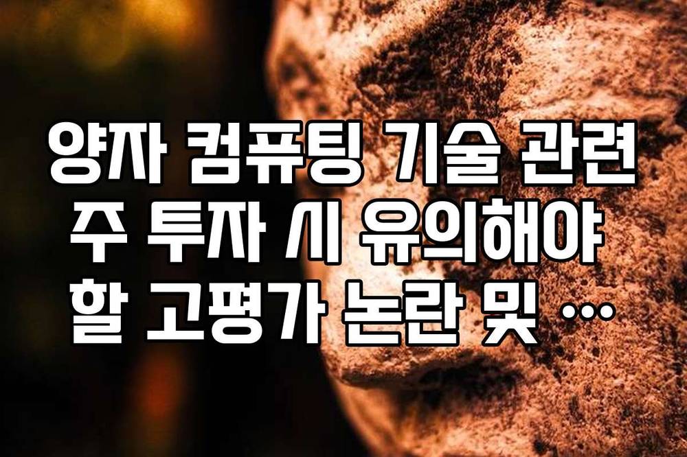 양자 컴퓨팅 기술 관련주 투자 시 유의해야 할 고평가 논란 및 분석