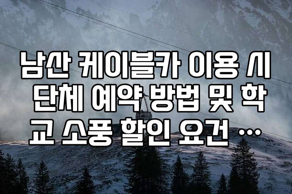 남산 케이블카 이용 시 단체 예약 방법 및 학교 소풍 할인 요건 확인